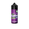 Fantasi Ice 100ml Shortfill E-Liquid 0mg (70VG/30PG)